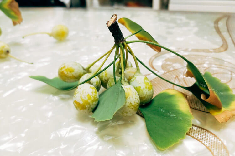 为什么银杏一股屎味，能不能吃啊？
