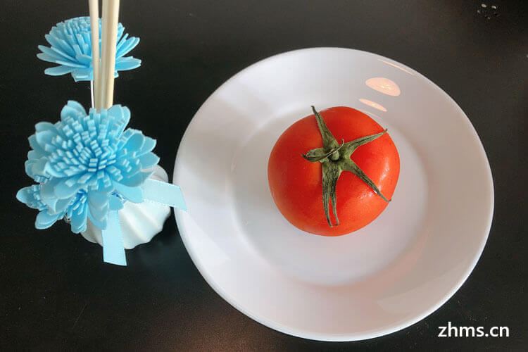 西红柿有什么营养