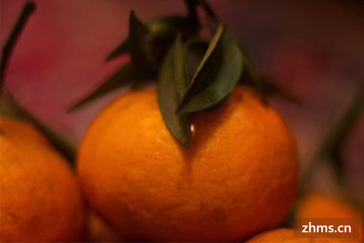 桔子和橘子是一样的吗