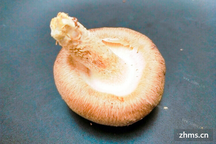 切片的香菇跟青菜在一起炒特别的好吃，大香菇家常怎么切
