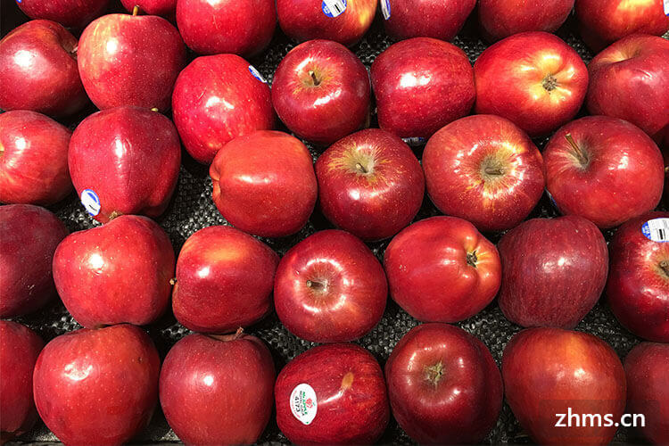 苹果属于什么水果？苹果的种类都有哪些？