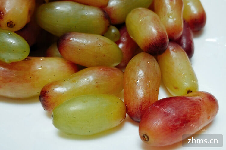 炎炎夏日，正是葡萄上市的季节，这个季节常吃葡萄好吗？