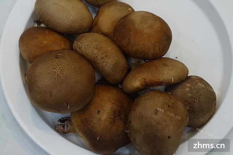 煮火锅的香菇怎么切呢， 今天买了些香菇回家想吃火锅