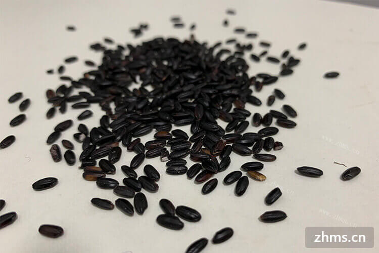 黑米是我们生活中经常吃的，那么大家知道黑米和紫米的区别吗？