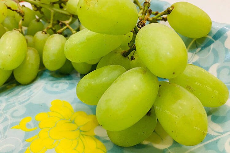葡萄和提子都是水果，葡萄为什么叫提子呀？