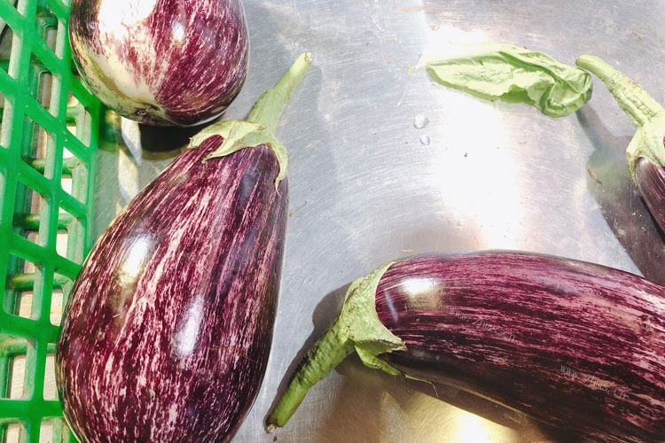 茄子和芹菜可以一起吃吗，茄子和芹菜一起好吃吗？