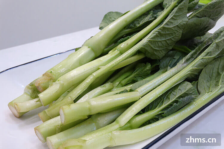 减肥蔬菜沙拉做法有哪些？