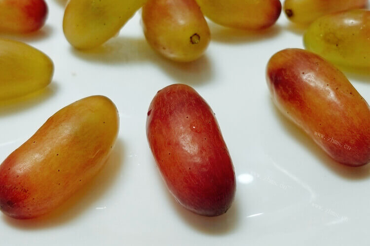 弟弟买了很多的葡萄回来，葡萄提子是什么季节的水果？