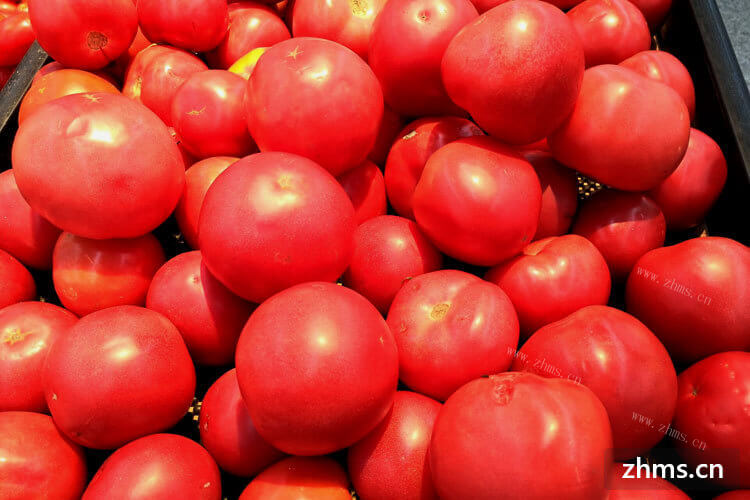 家里有很多番茄，想知道自制番茄酱怎么做呢？