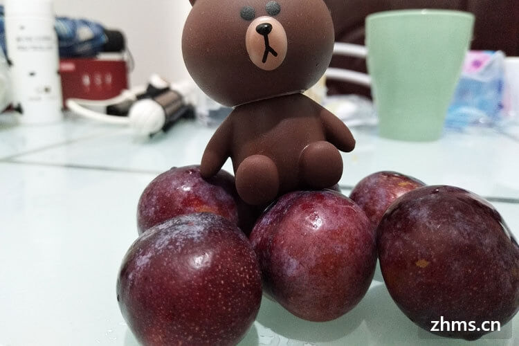 最早成熟的李子在几月份 最早成熟的李子在几月份