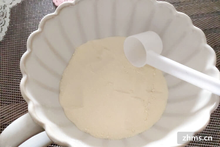 最新豆奶粉品牌排行榜，让你更好了解豆奶粉