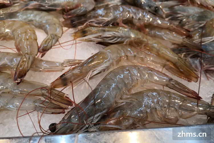 虾是非常常见的美食了，清蒸虾的做法去虾线吗？