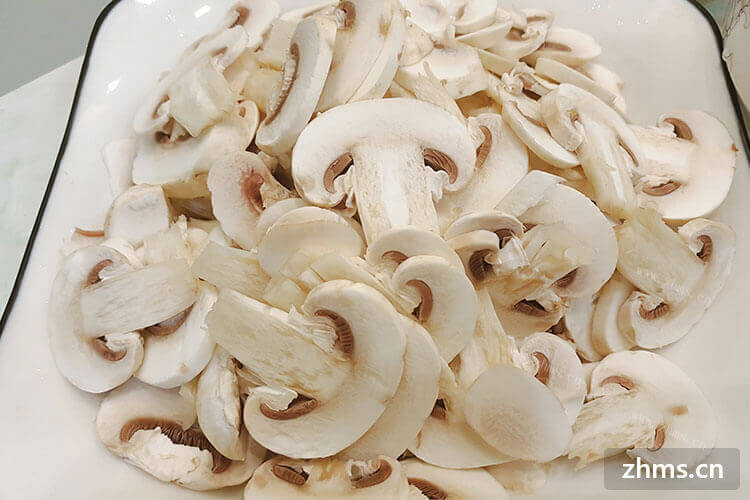 口蘑很多人都喜欢吃，那口蘑怎么做好吃呢？