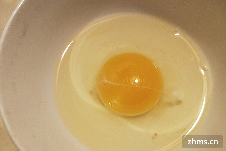 蛋清蛋黄比例