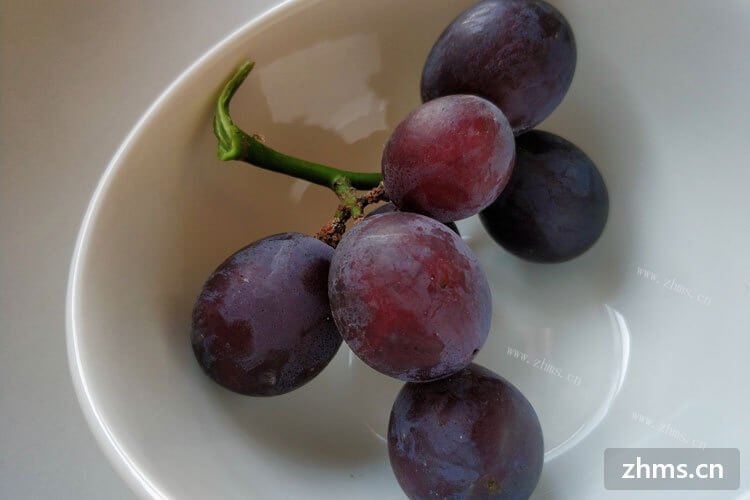 葡萄成熟时是几月份？想去自己摘一些葡萄