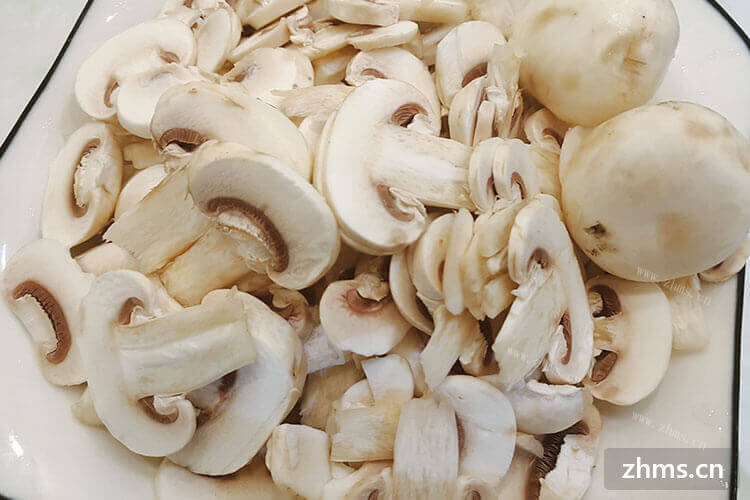 口蘑很多人都喜欢吃，那口蘑怎么做好吃呢？