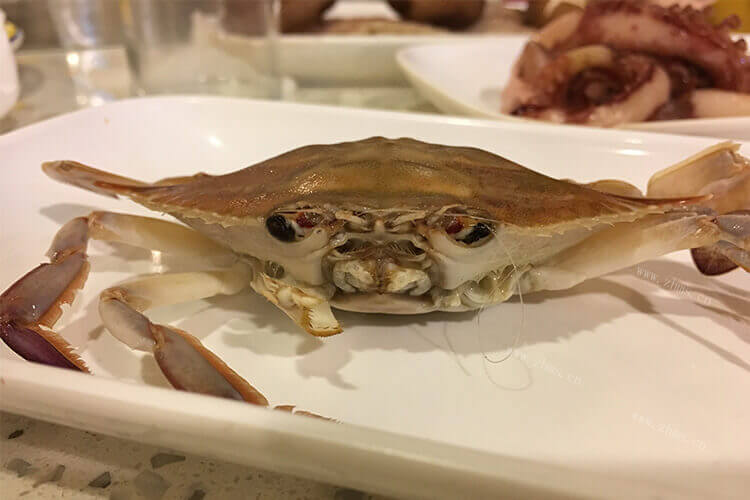 到了吃螃蟹的季节，想知道螃蟹崽在哪，在螃蟹具体什么地方？