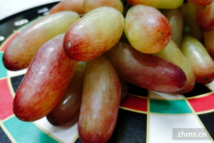 6月的葡萄是反季节水果吗