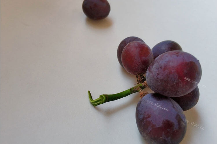 葡萄分为哪几个品种，哪个品种更好吃一点？
