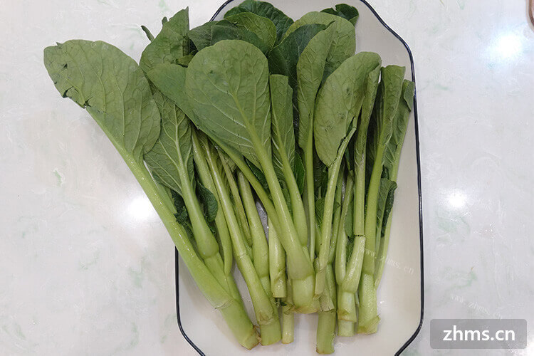 春天是播种的季节，那么春季适合种什么蔬菜四川？