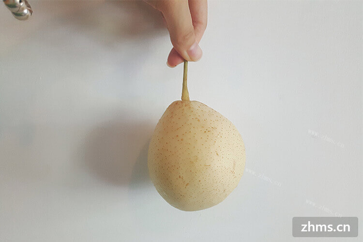 梨的种类很多，水晶梨便是其中一种，水晶梨产地是哪里？