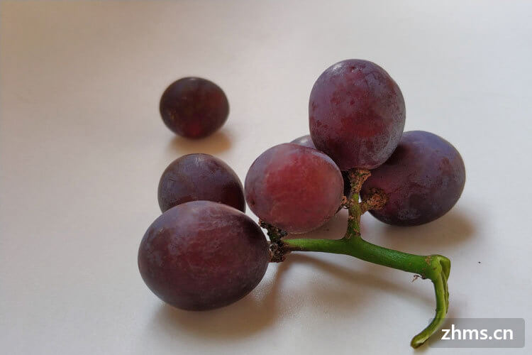 葡萄分几个品种