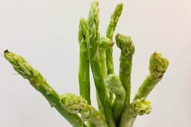 中午打算炒一些芦笋，炒芦笋要削皮吗？