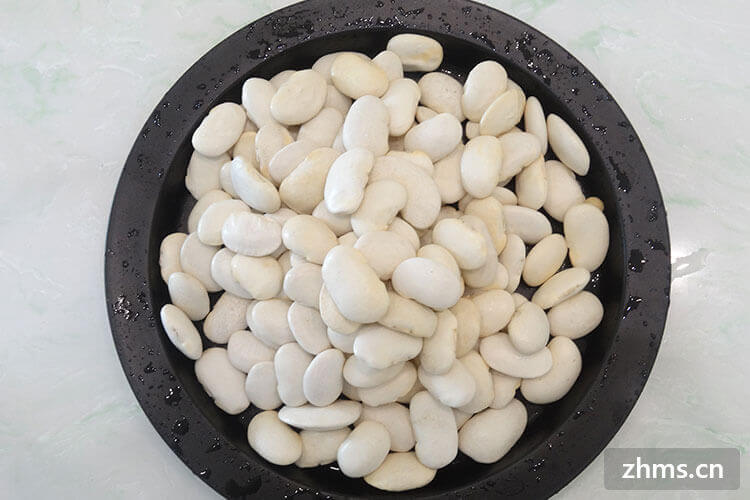白芸豆几月份成熟