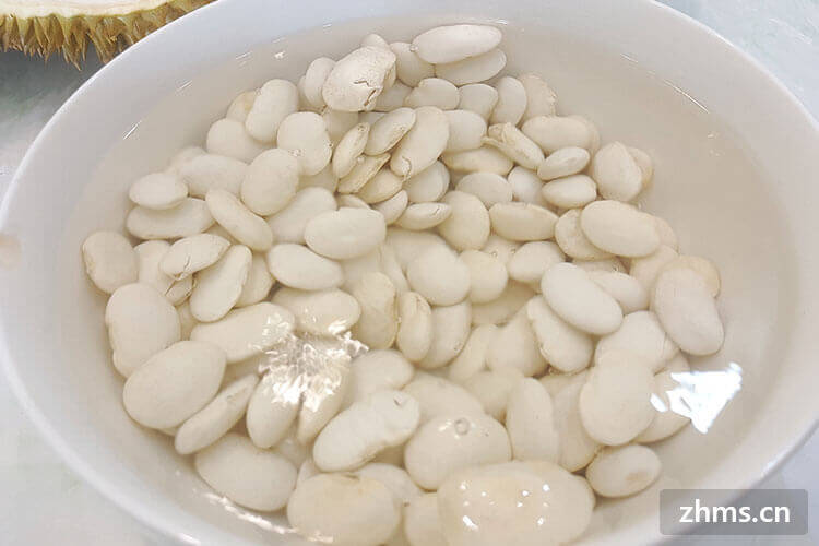 白扁豆和白芸豆一样吗 白扁豆和白芸豆一样吗