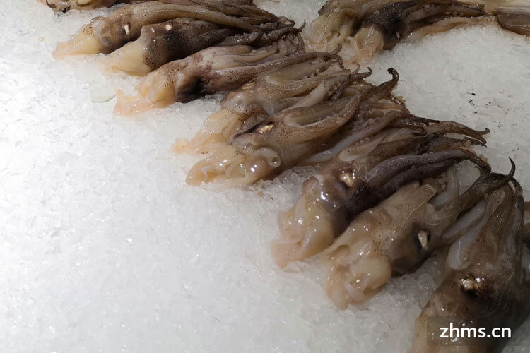 鱿鱼生活在海水还是淡水里？常见的食用方法是怎样的？