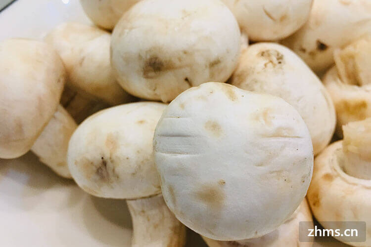 双孢蘑菇怎么做好吃，我们来告诉你