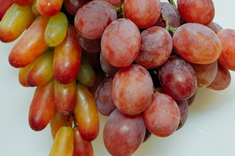 今天买了一些葡萄，青提子，它们谁的营养价值更高？