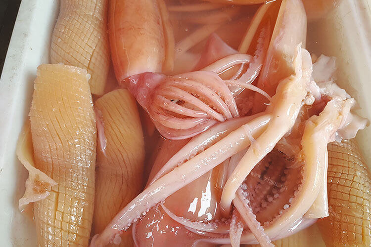 今天在买鱿鱼的时候听人说鱿鱼母，请问 鱿鱼母和鱿鱼的区别呢？