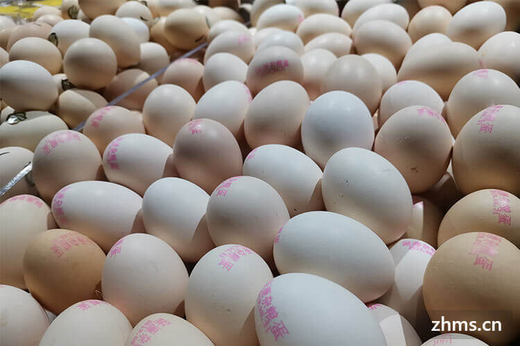 重阳节习俗包括吃鸡蛋么