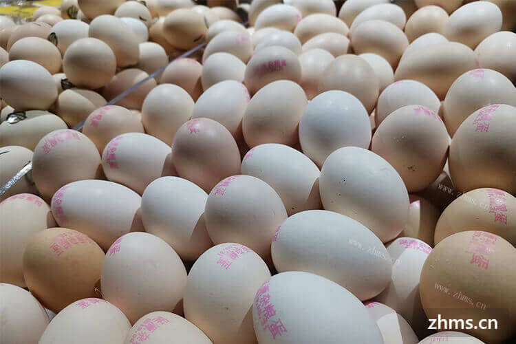 有人说鸡蛋有细菌，请问细菌存在蛋清还是蛋黄里？ 