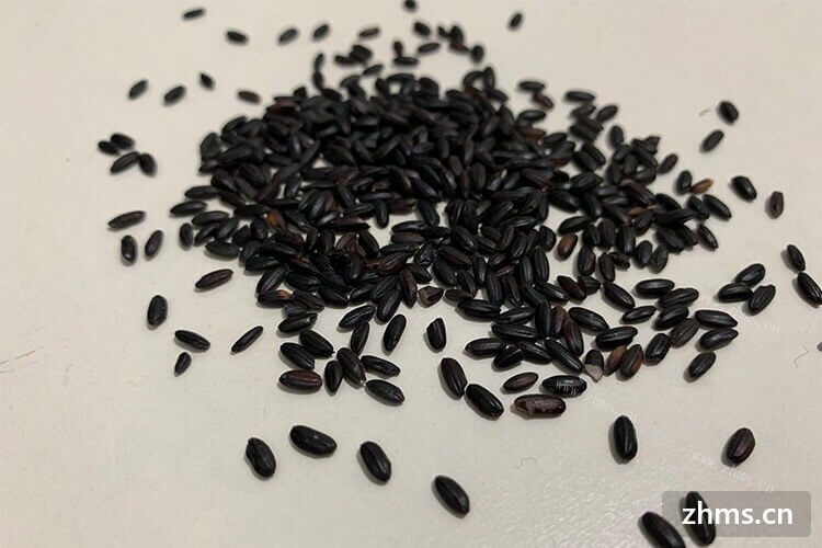 作为各种主食，红米黑米糙米功效与作用有什么？
