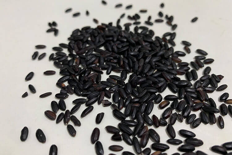 不同的米粥又是不同的作用，黑米跟黑糯米和紫米有啥区别呢？