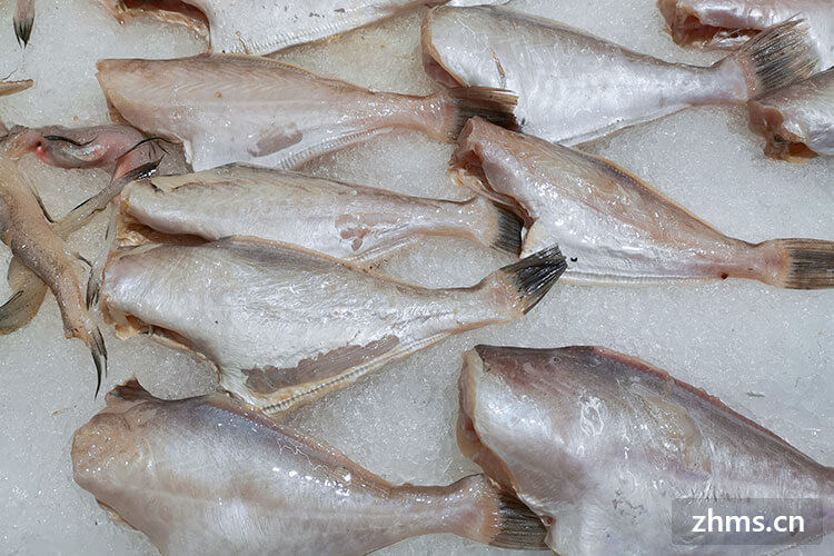 耗儿鱼产地在哪里？怎样烹制更加美味？