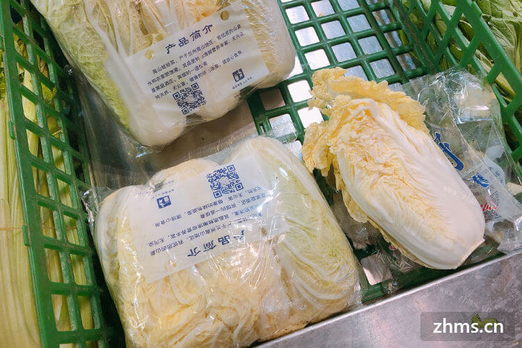 金边白菜一般多少钱一斤呢？
