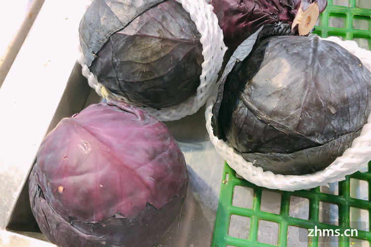 妈妈今天买了一些紫包菜回家，她说她想做凉拌紫包菜