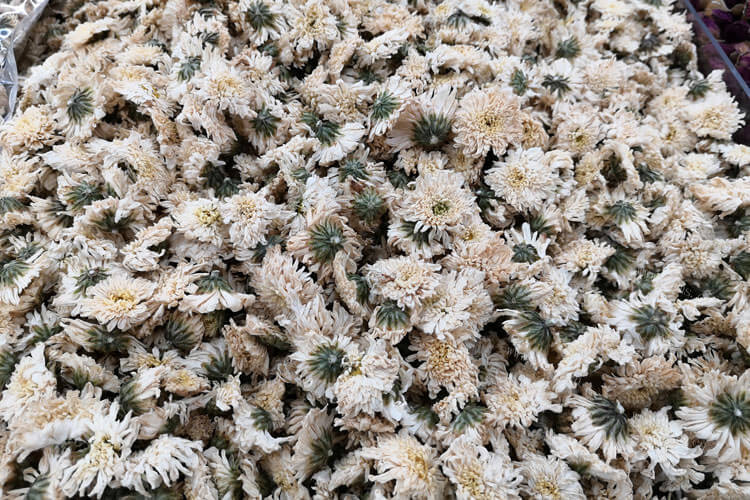 最近想选购一些菊花茶，什么牌子菊花茶好？
