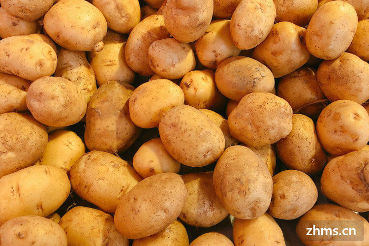 怎么保存土豆，方法是什么？