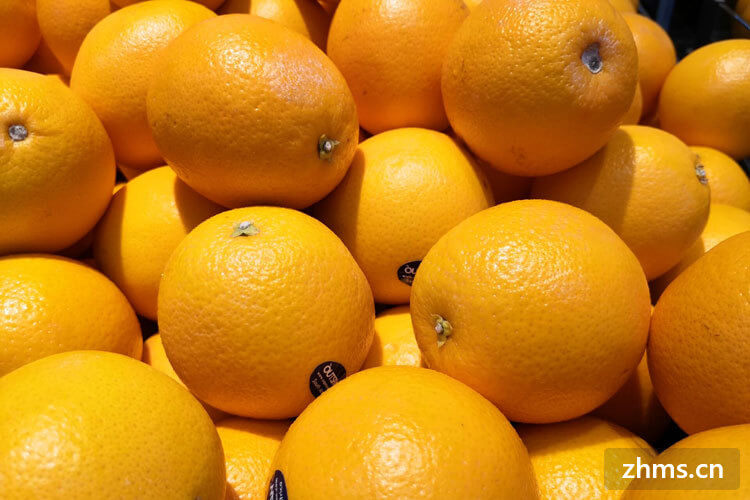 橙子是什么季节吃的水果