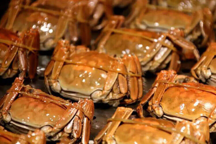 我想吃螃蟹了，请问螃蟹哪些地方可以吃？