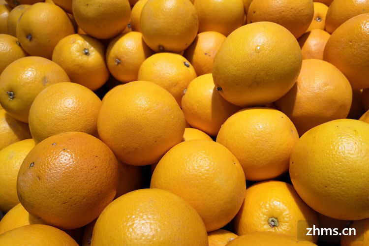 橙子的种类有哪些呢