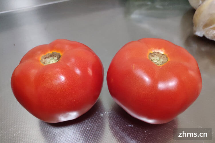 蕃茄黄瓜不能一起食