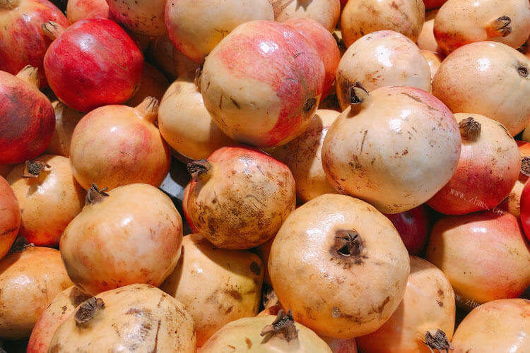 青石榴是不是没熟 石榴是秋季必备水果，一定要吃成熟的