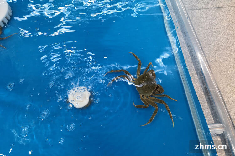 家里买了很多螃蟹，蒸螃蟹水开后要多长时间才可以把螃蟹放进锅里面比较好呢？