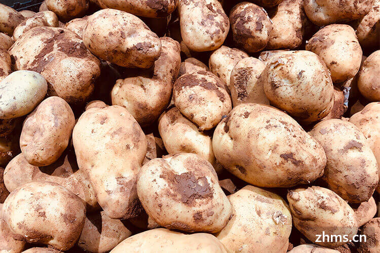 土豆多少钱一斤