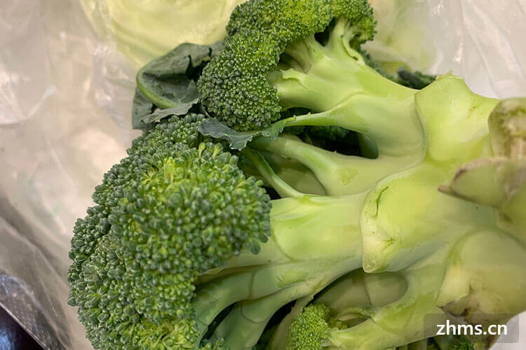 什么叫绿色蔬菜？野菜是绿色蔬菜吗？